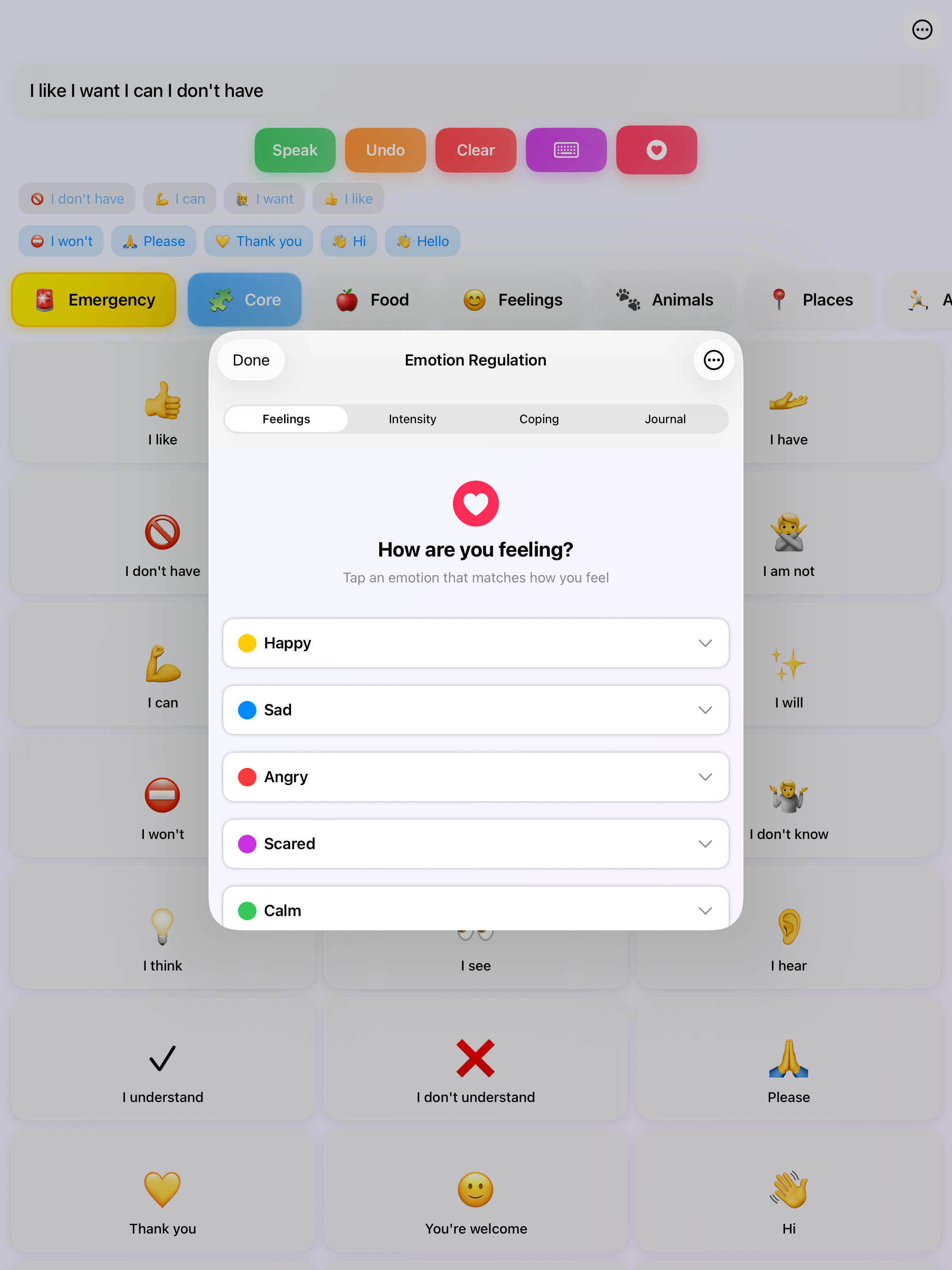 Emotion Regulation Screen